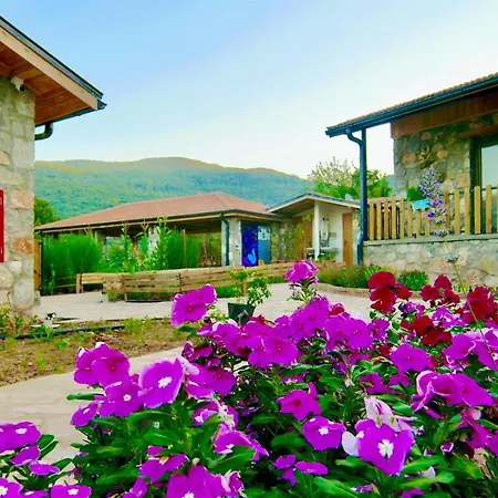 Dedehan Retreat موجلا