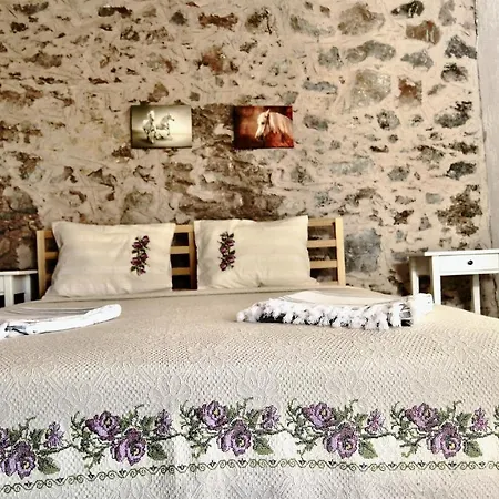 Hotel Dedehan Retreat *