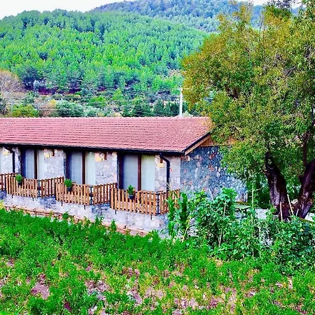 Dedehan Retreat فندق *