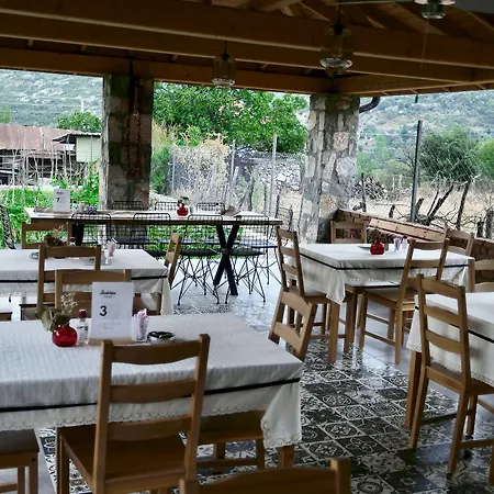 Otel Dedehan Retreat *