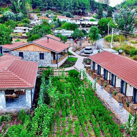 Dedehan Retreat Hotel *
