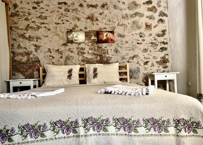 Отель Dedehan Retreat *