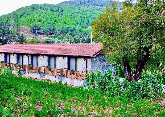 Dedehan Retreat Отель *