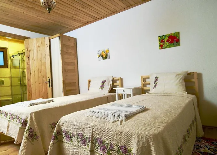 Отель Dedehan Retreat