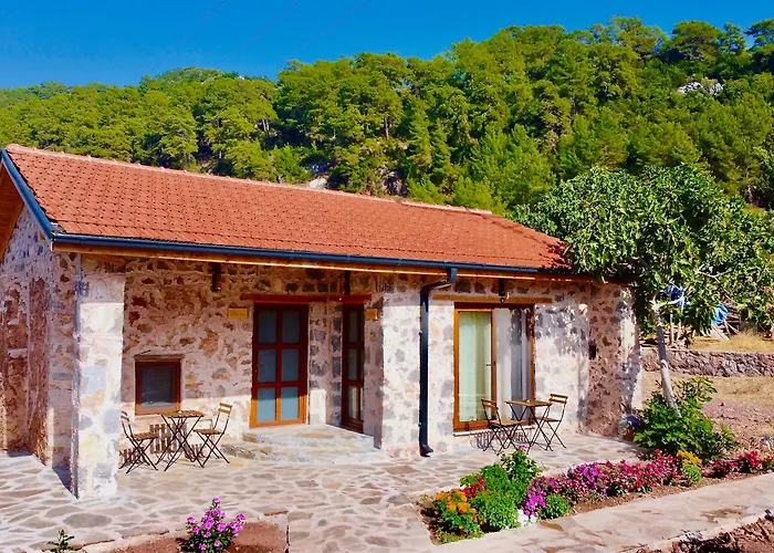 Отель Dedehan Retreat *